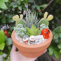 Tiểu cảnh mini để bàn