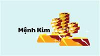 Nơi Tư Vấn Và Cung Cấp Cây Cảnh Văn Phòng Theo Phong Thủy
