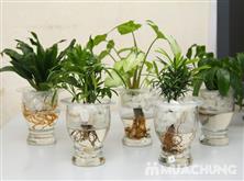 Combo 3 sản phẩm giảm 35%