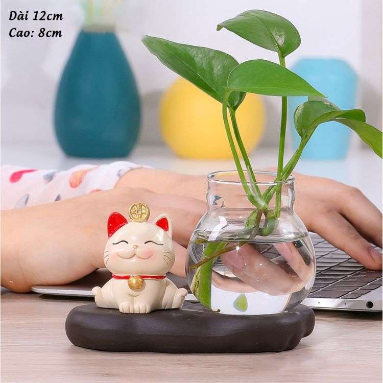 Cây trồng trong nước để bàn làm việc 