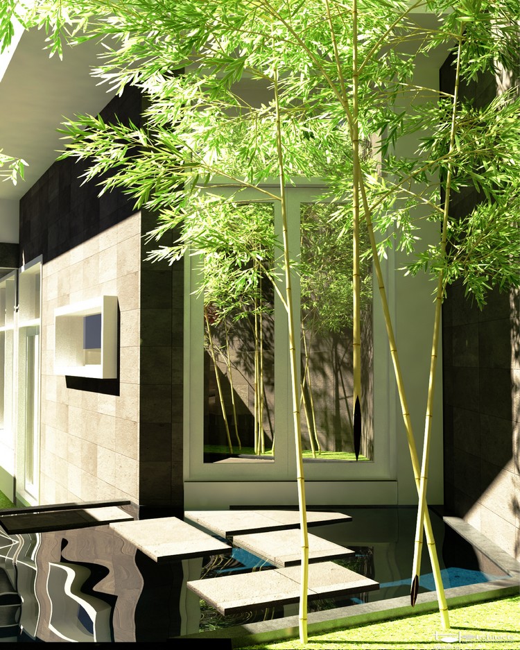 cây cảnh phong thủy trong phòng làm việc