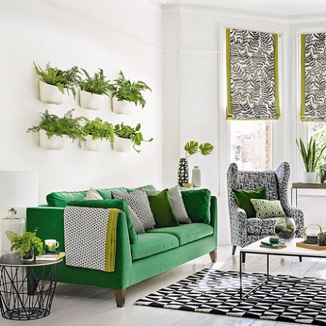 Bí kíp vàng bỏ túi khi trang trí phòng khách bằng cây xanh