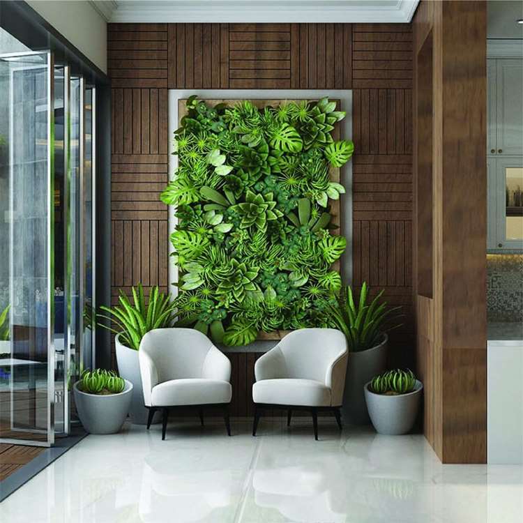 Cây cảnh nội thất trong nhà