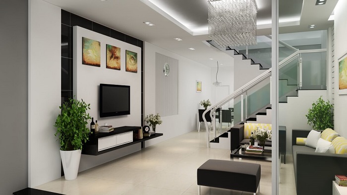 Cây nội thất phòng khách 