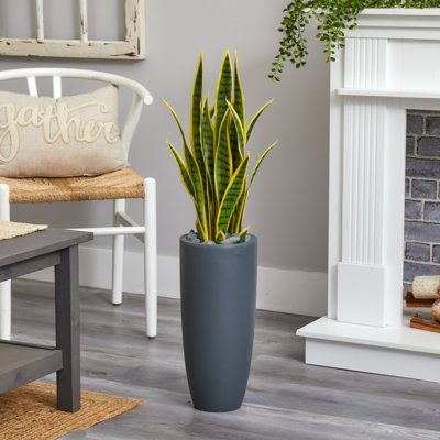 cây để bàn làm việc hợp mệnh Thổ