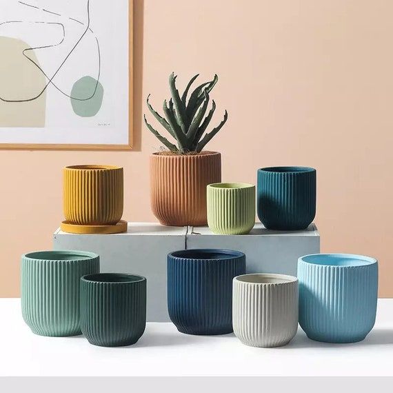 chậu cây cảnh mini trong nhà