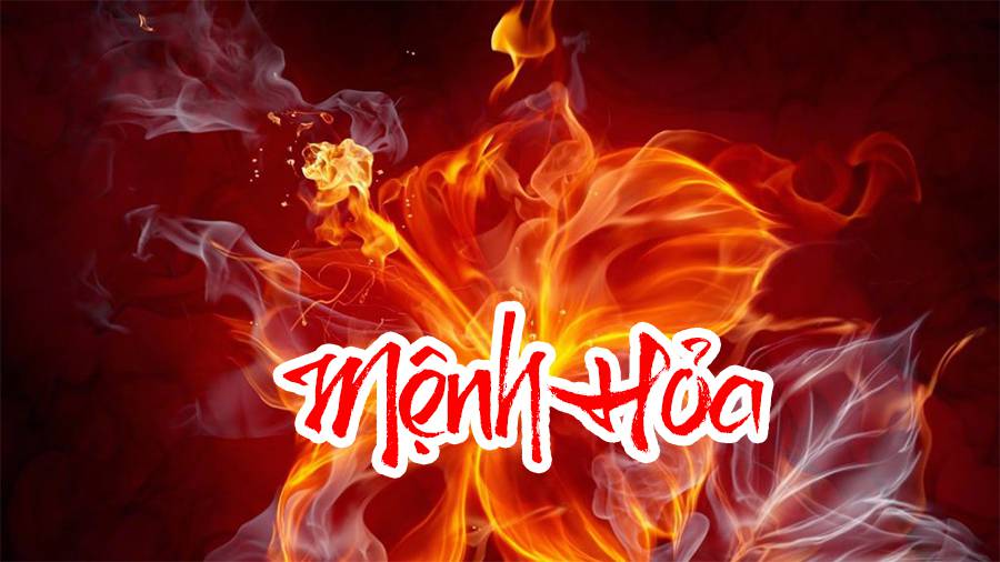 cây cảnh văn phòng theo phong thủy