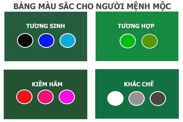 cây để bàn làm việc hợp mệnh Mộc