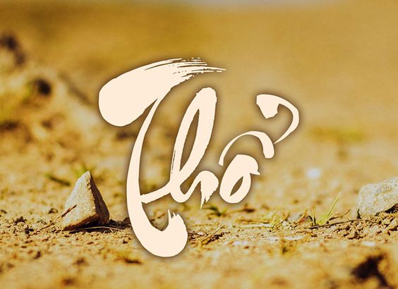 cây cảnh văn phòng theo phong thủy