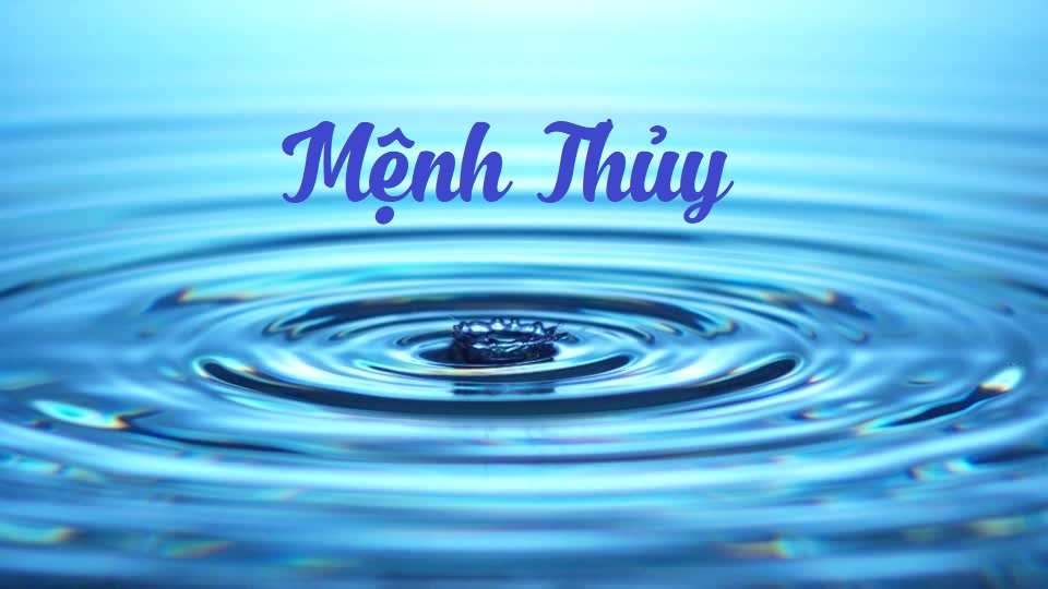 cây cảnh văn phòng theo phong thủy